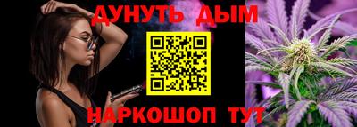 МДПВ Камышлов