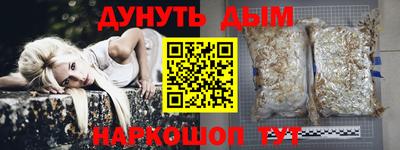 МДПВ Камышлов