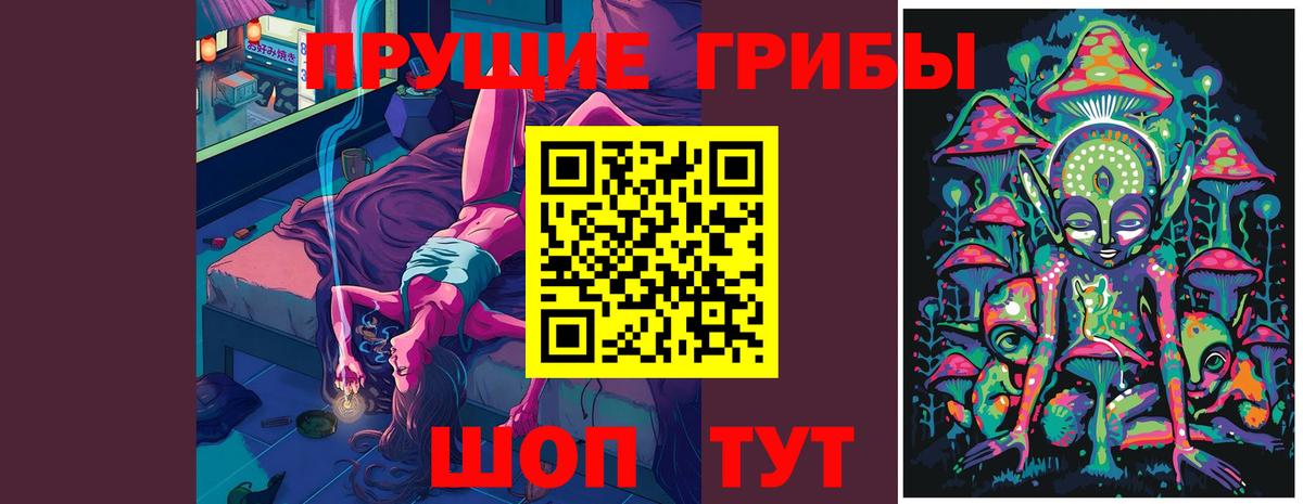 Псилоцибиновые грибы GOLDEN TEACHER Кубинка